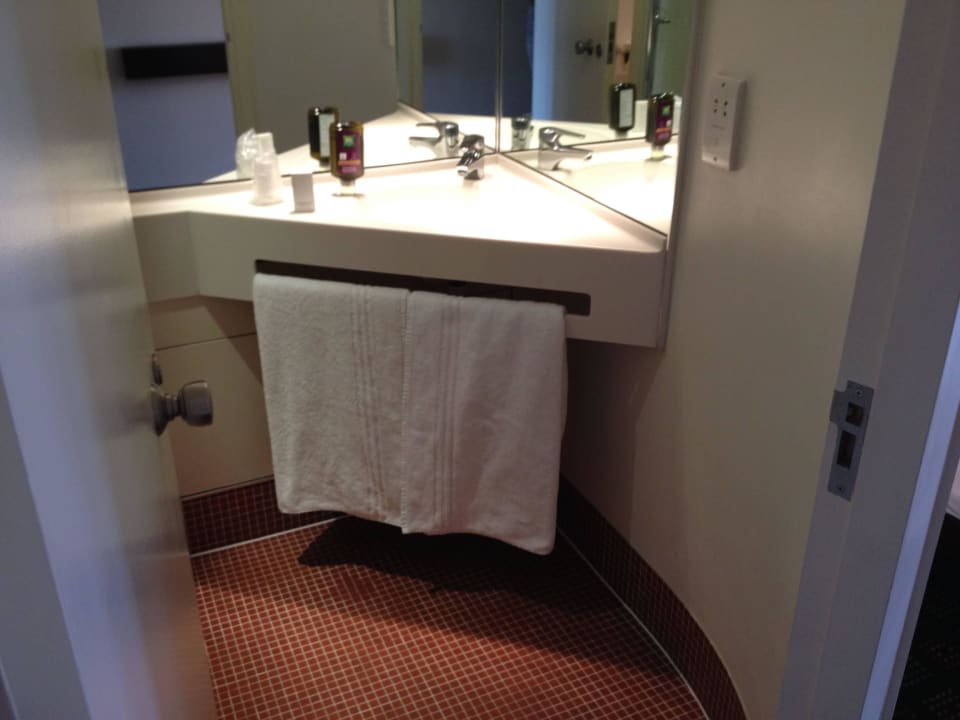 Bad Hotel ibis Styles Southwark Rose