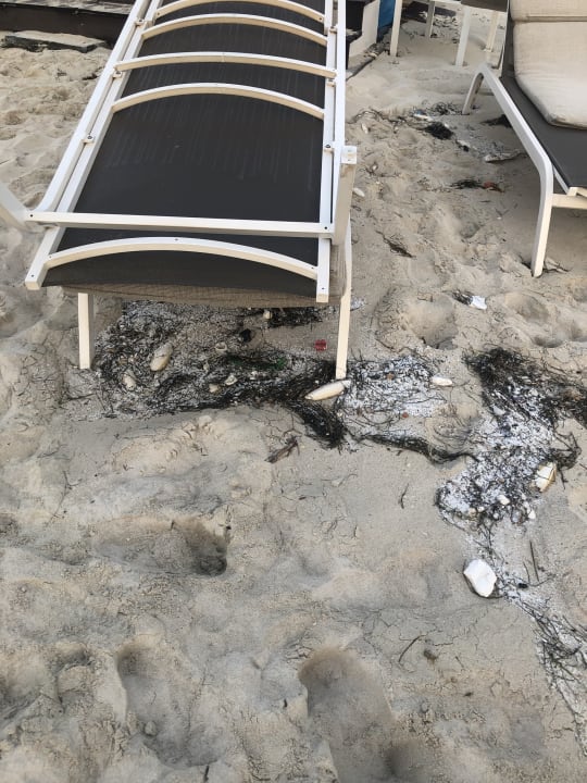 Strand Jumeirah at Saadiyat Island Resort