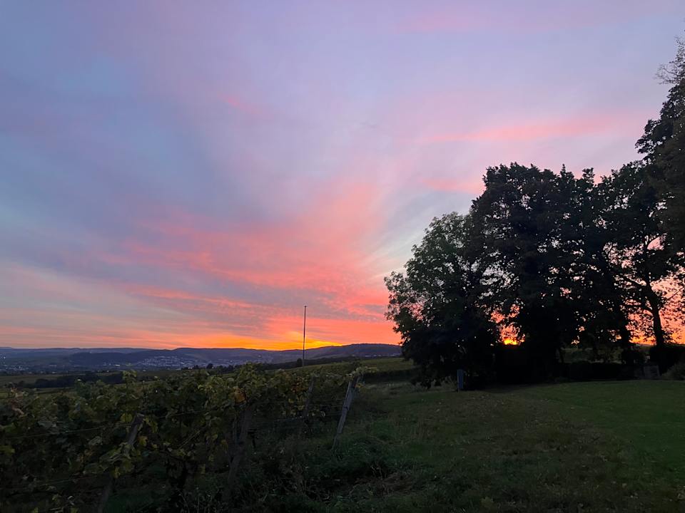 Ausblick Relais & Châteaux Hotel Burg Schwarzenstein