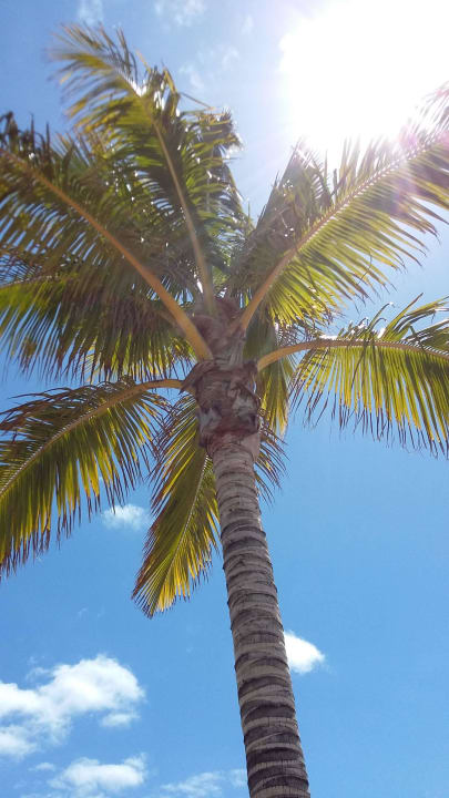 Einzigartig R2 Bahía Playa Design Hotel & Spa - Adults Only