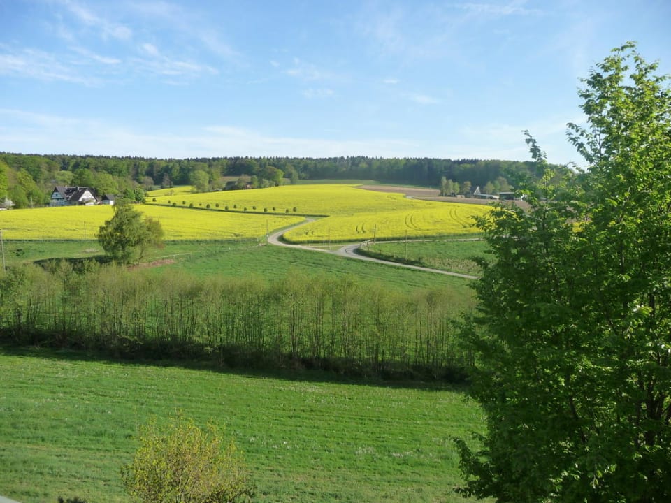 Ausblick vom Balkon Ringhotel Landhotel Buller