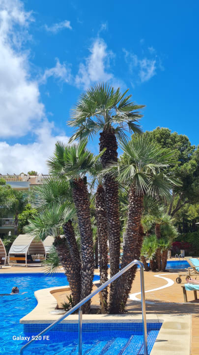 Pool VIVA Cala Mesquida Suites & Spa 16+