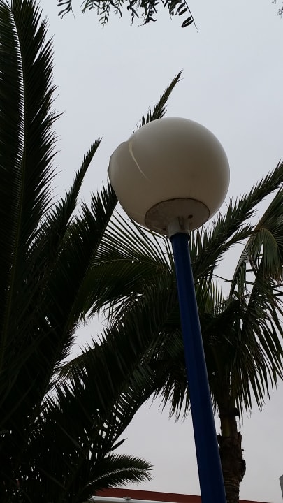 Gartenanlage SBH Fuerteventura Playa