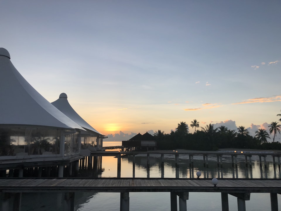 Gastro Safari Island Maldives