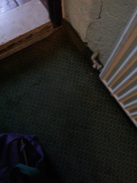 Ekelecken im Flur Der schöne Asten - Resort Winterberg