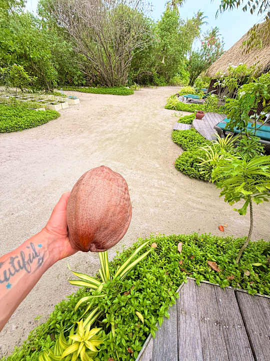 Gartenanlage Kuredu Island Resort & Spa