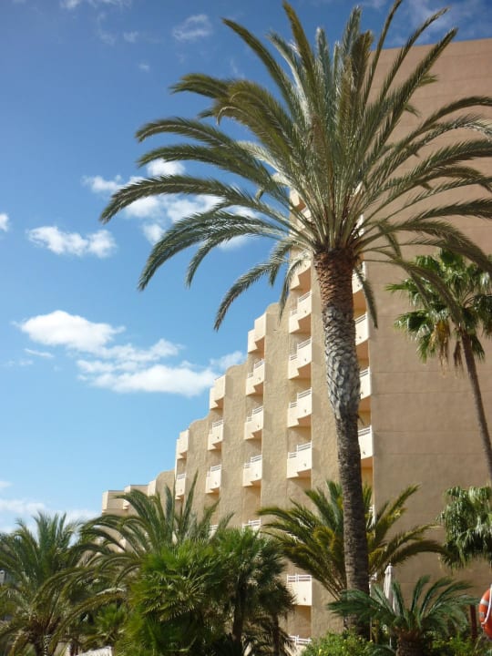 Dezember 2012 Corallium Dunamar by Lopesan Hotels