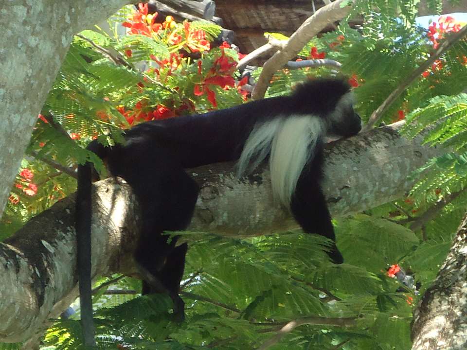 Hanging up  Hotel Southern Palms Beach Resort