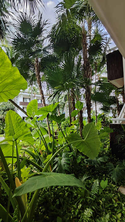 Gartenanlage Bahia Principe Grand Tulum