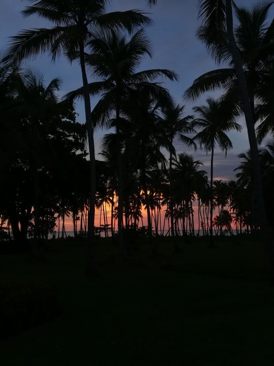Strand Wyndham Alltra Samana
