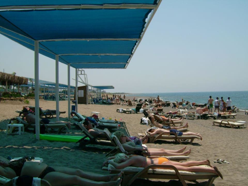 Der Strand Crystal Admiral Aqua Collection