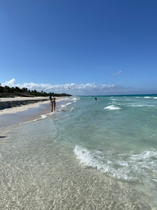 Strand Starfish Cuatro Palmas