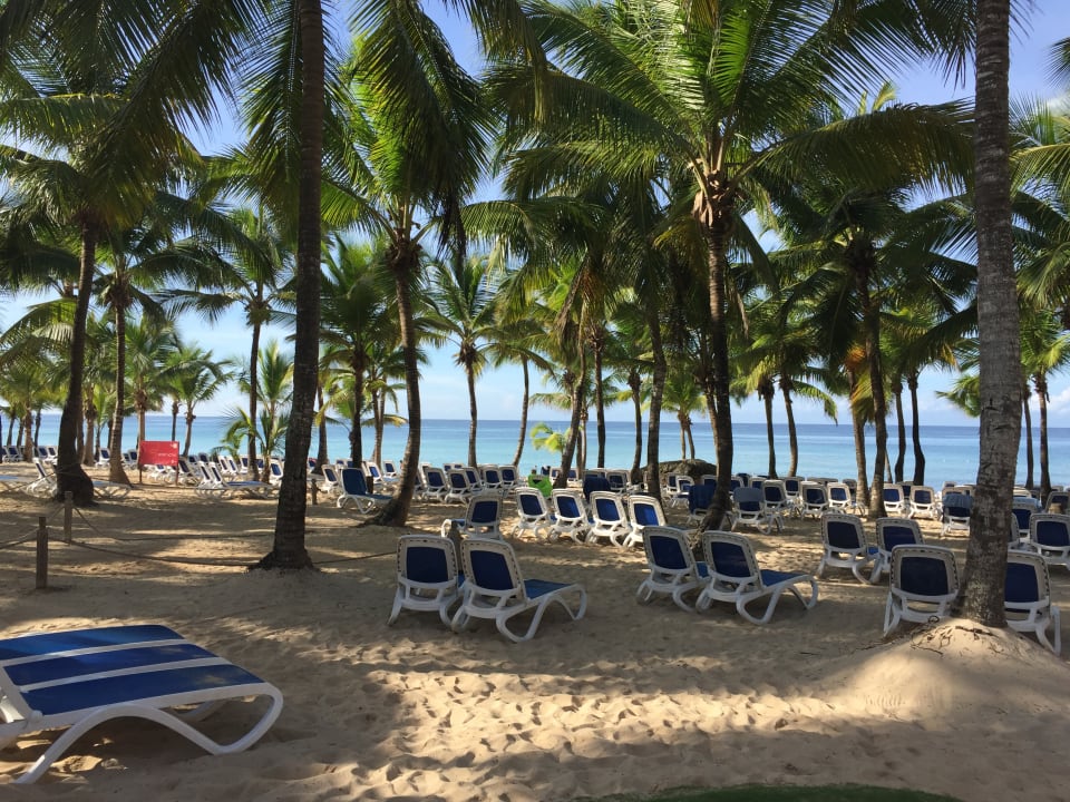 Strand Hotel Viva Dominicus Palace by Wyndham-All Inclusive Resort