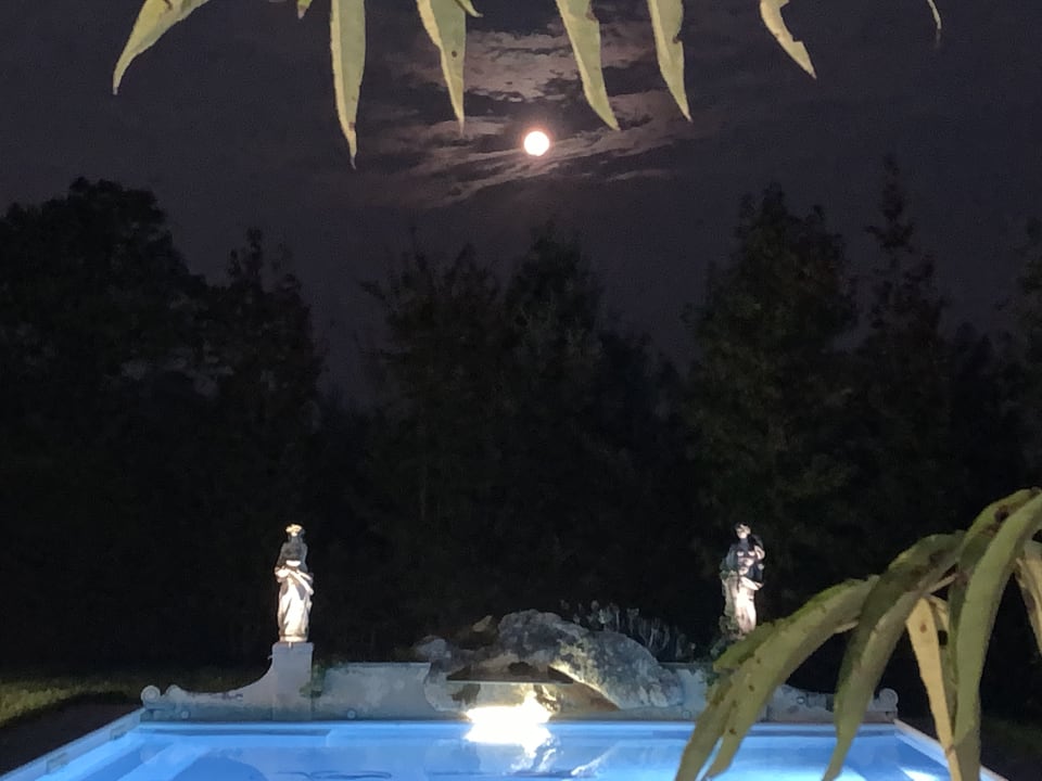 Pool Agriturismo L'Unicorno