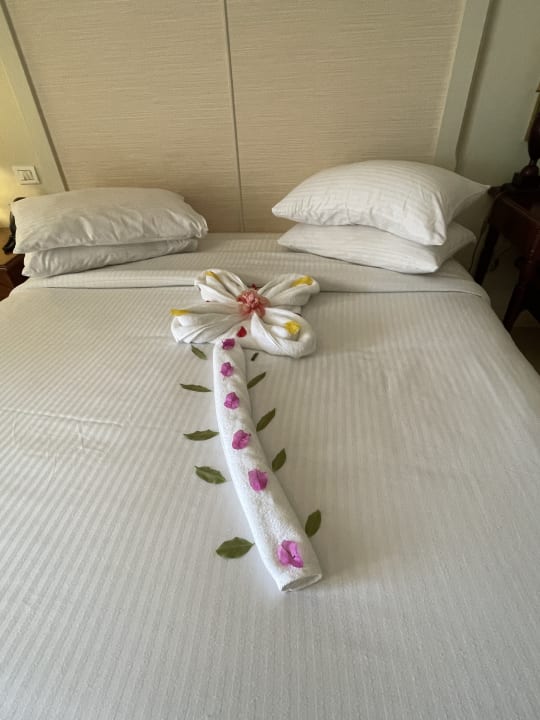 Zimmer Pickalbatros Palace Hotel-Port Ghalib