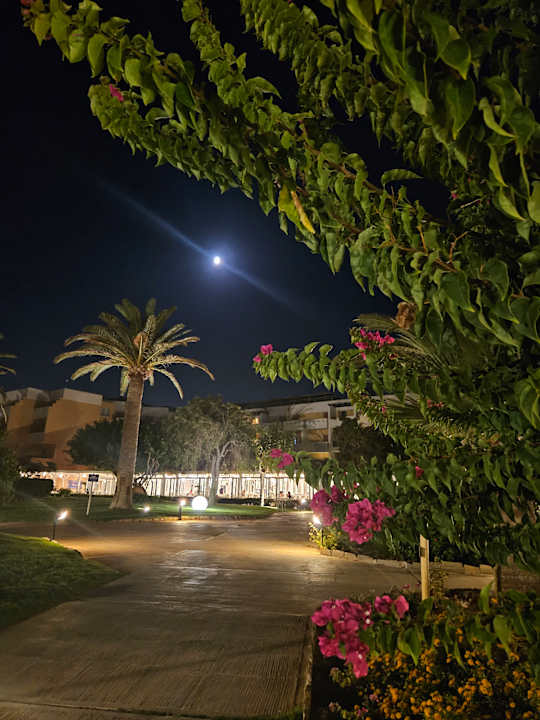 Gartenanlage Anissa Beach & Village