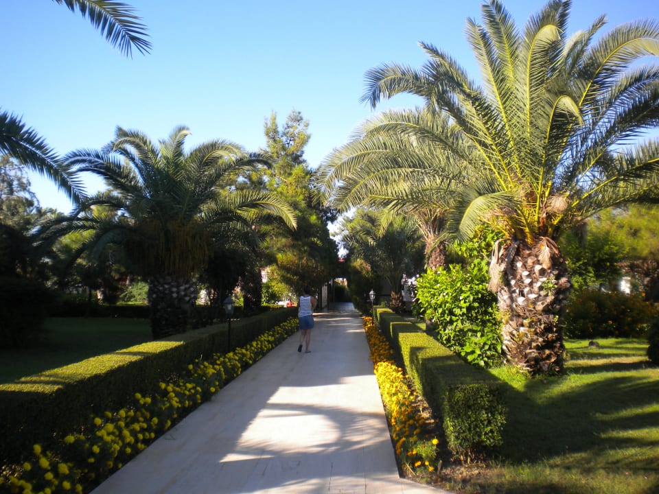 Sehr gepflegt Hotel Club Nena