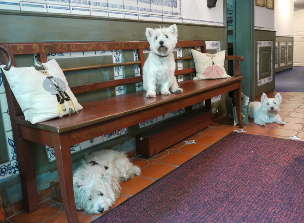 Tierfreundlich Hotel am Bauenhaus