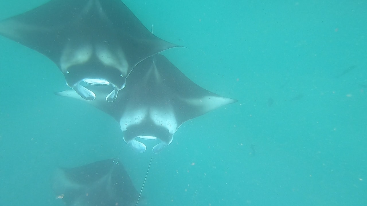 Sport & Freizeit NH Collection Maldives Reethi Resort