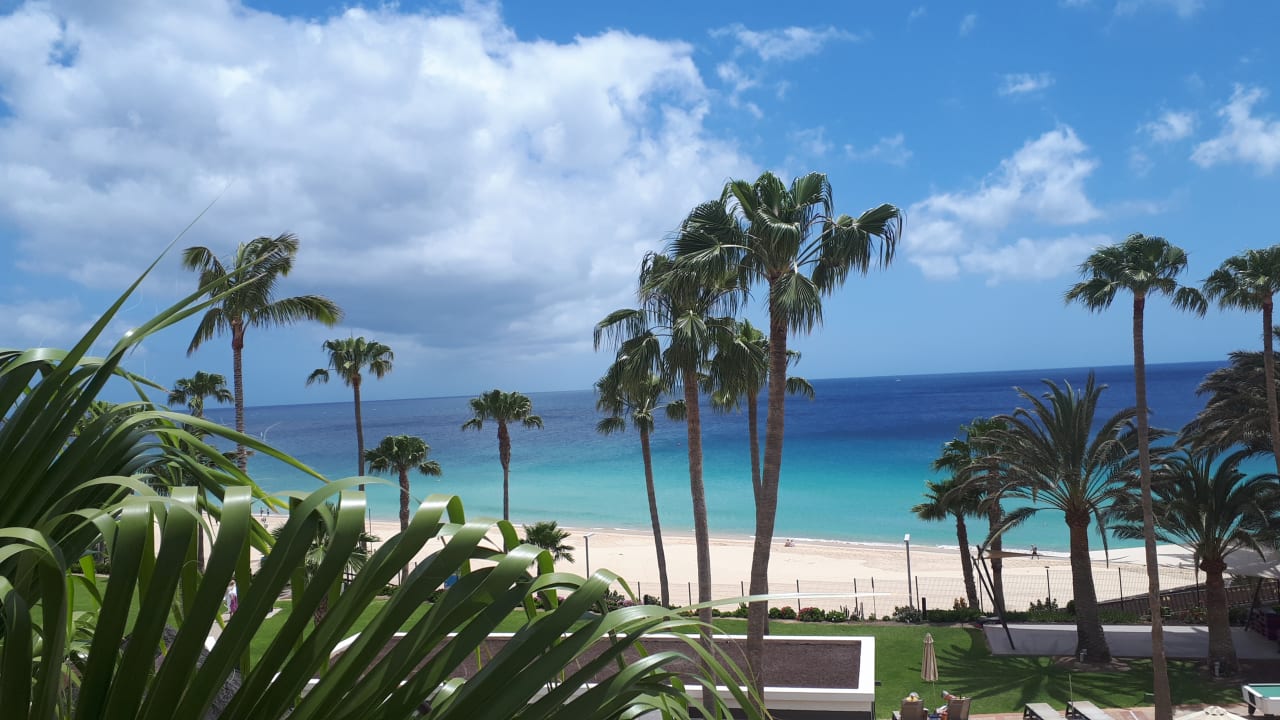 Ausblick TUI BLUE Riu Calypso
