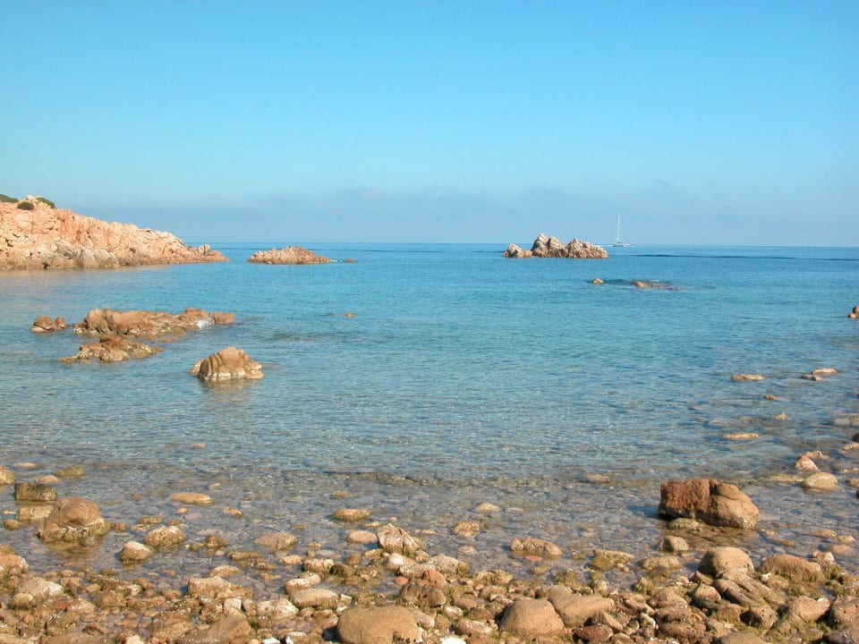 Hier gibt es viele Seesterne Hotel Li Graniti