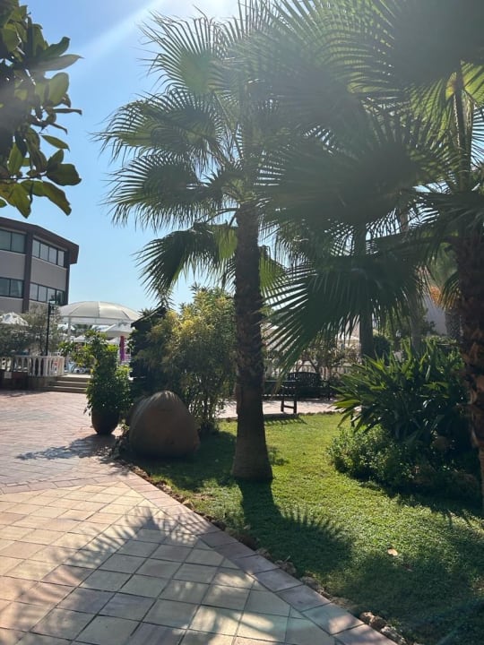 Gartenanlage Club Dizalya