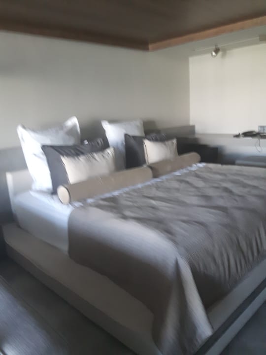 Zimmer Paloma Finesse
