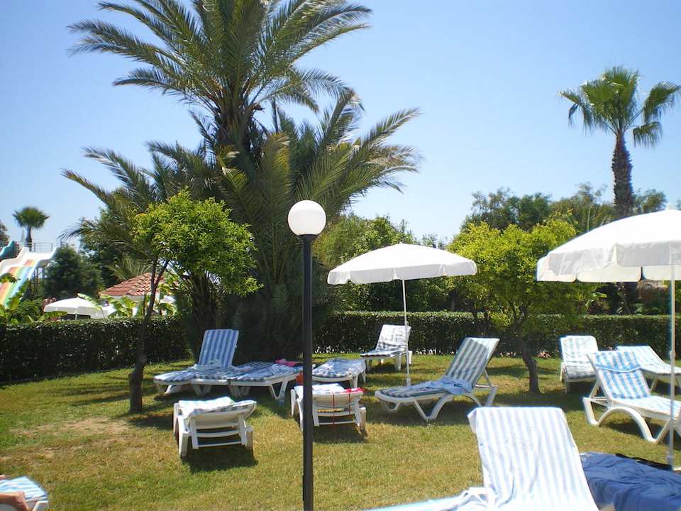 Liegewiese  Asteria Family Resort Side