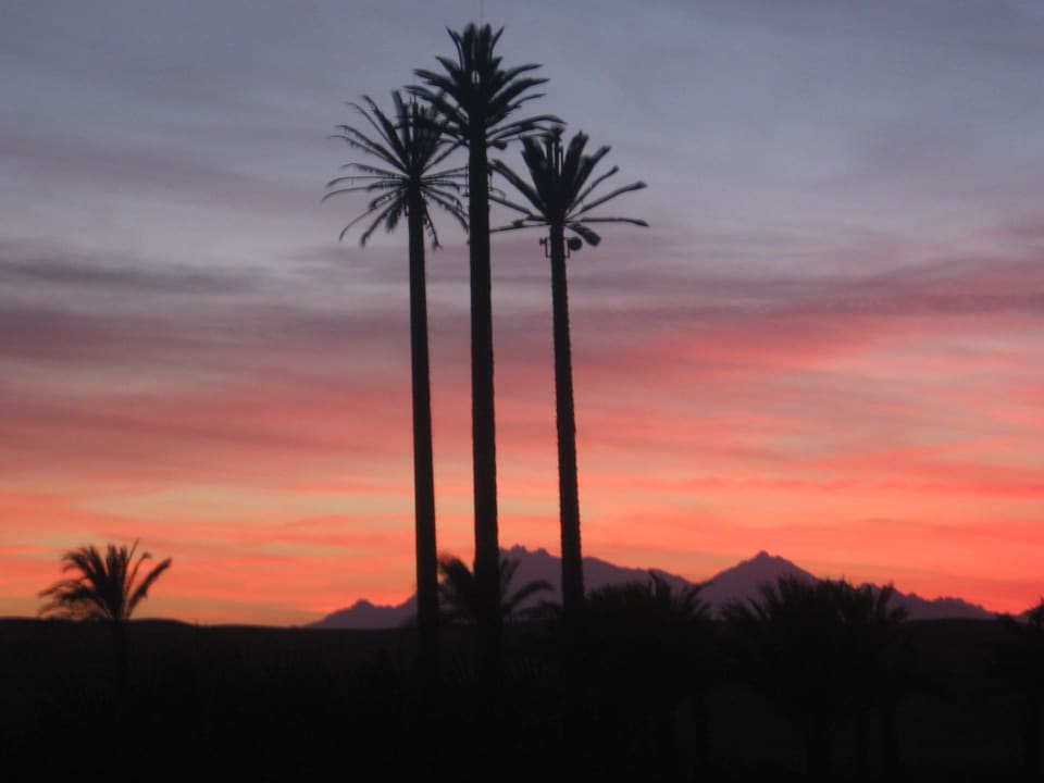 Schöner Blick vom Zimmer Premier Le Reve Hotel & Spa