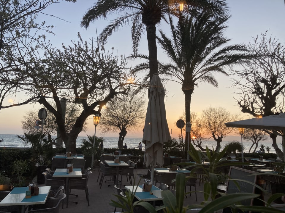 Gastro allsun Hotel Marena Beach