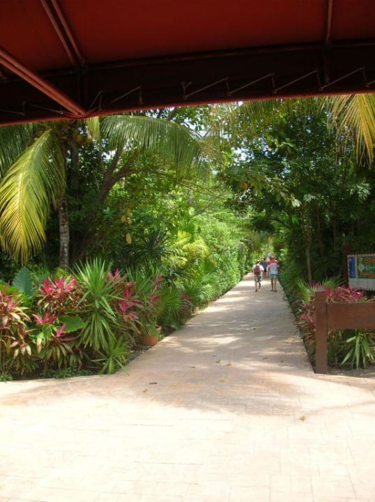 Garten Catalonia Playa Maroma