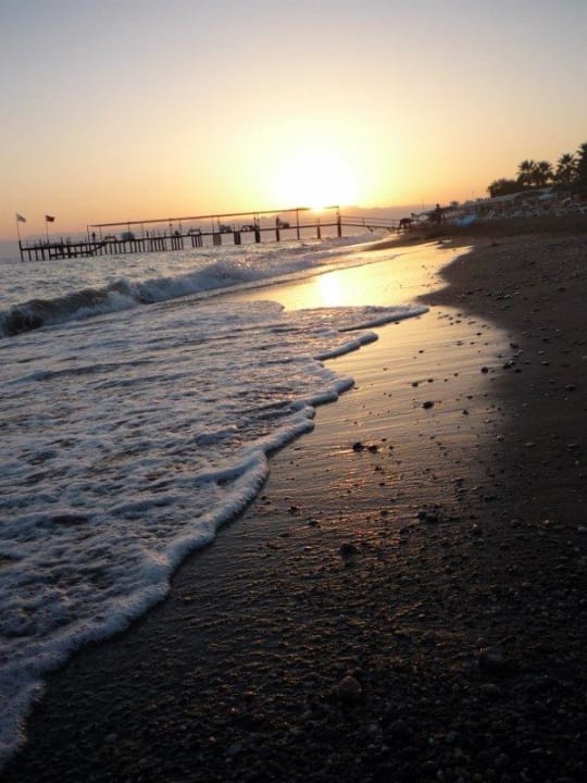 Pláž-západ3 Papillon Ayscha