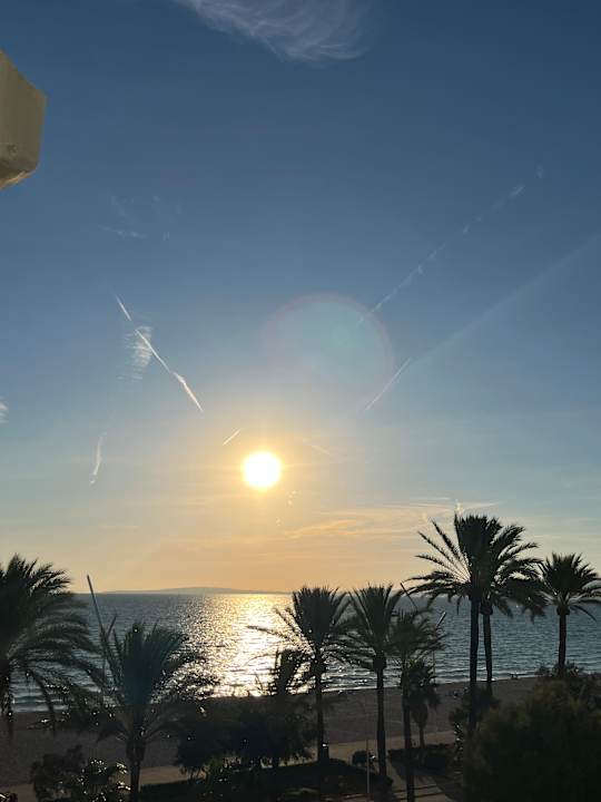 Ausblick HM Tropical