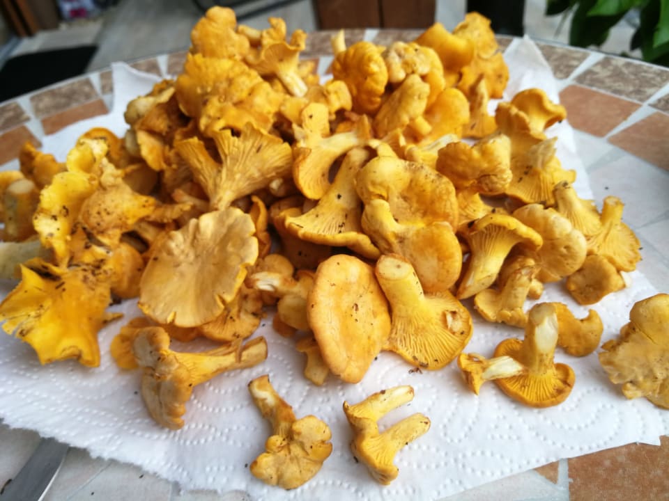 Sonstiges Landhaus Meine Auszeit