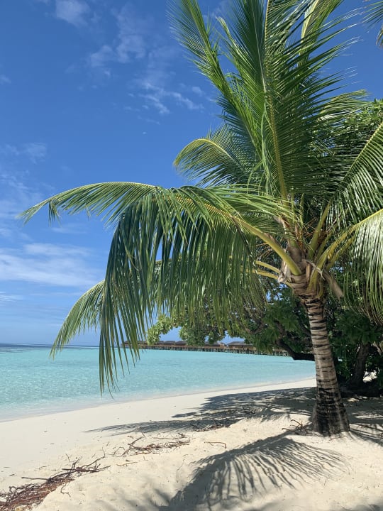 Strand Vilamendhoo Island Resort & Spa