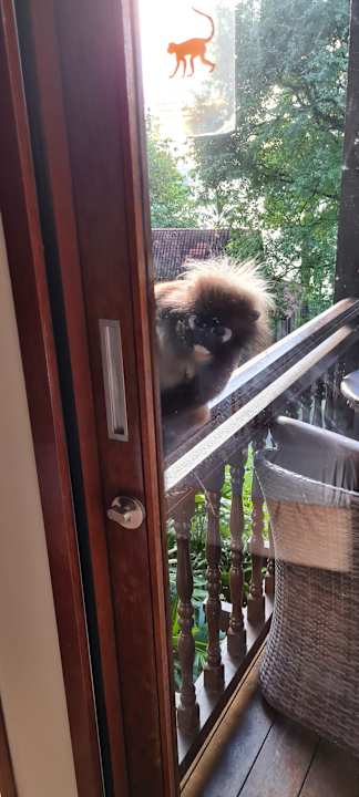 Zimmer Berjaya Langkawi Resort