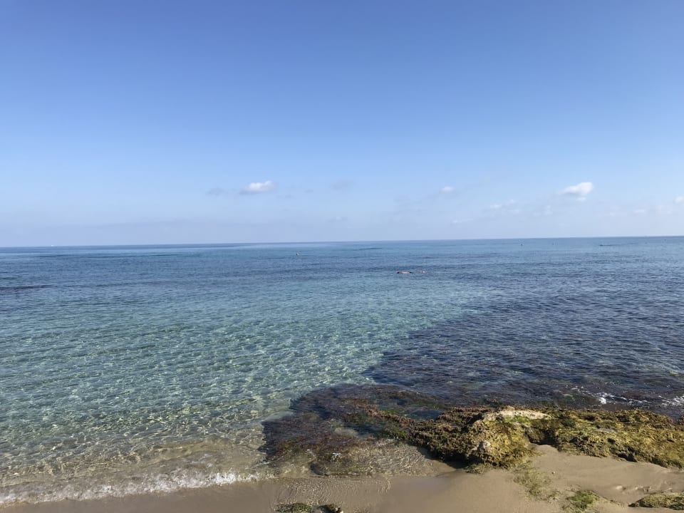 Strand Phãea Cretan Malia