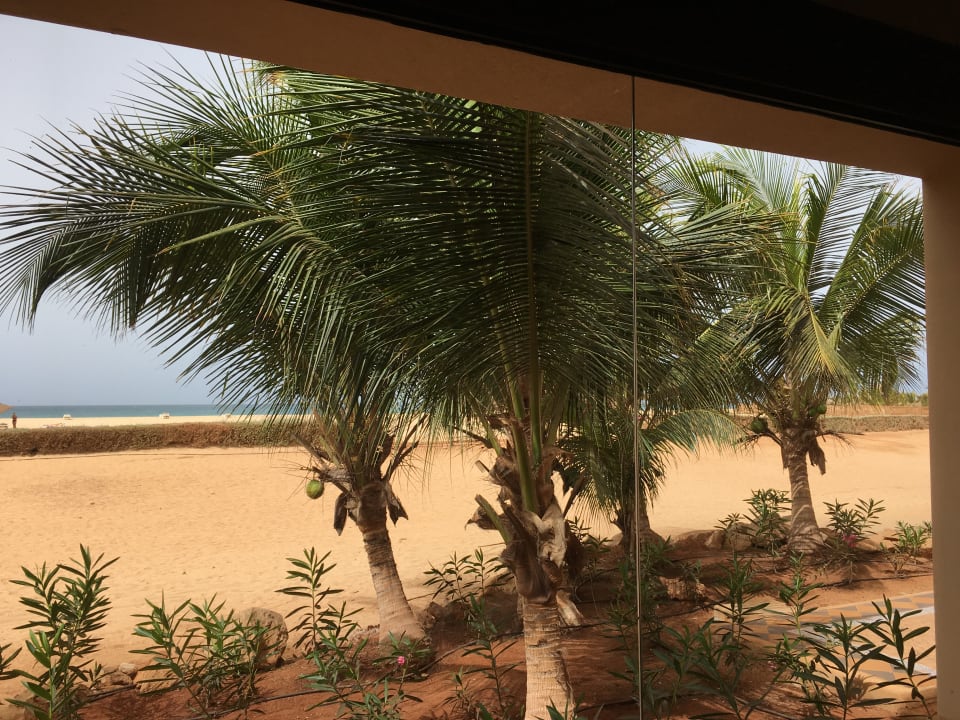 Blick vom Laufband im Fitness Hotel Riu Touareg