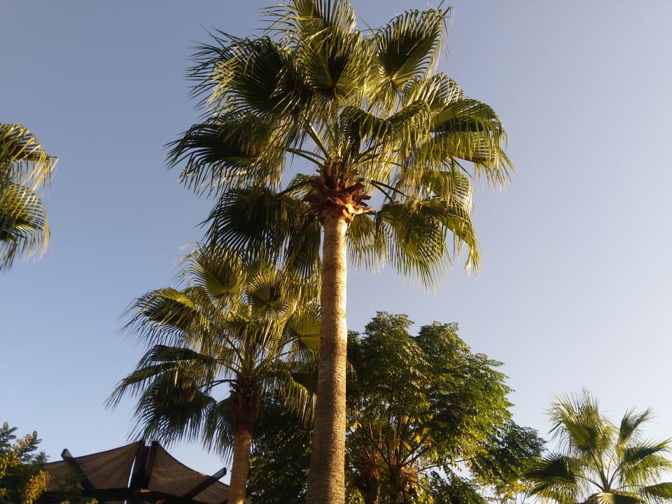 Gartenanlage Aydinbey Kings Palace & Spa