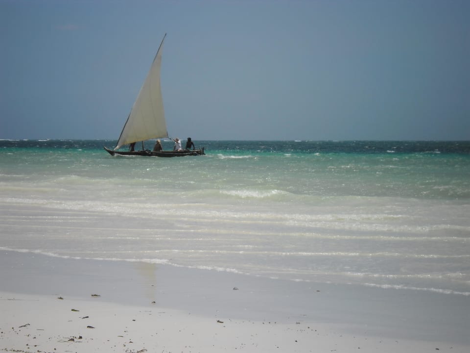 Strand Hotel Diani Palm Resort
