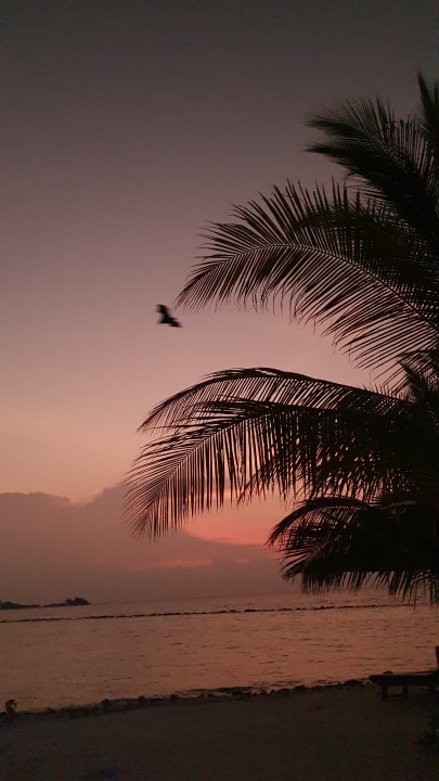 Strand Cinnamon Dhonveli Maldives