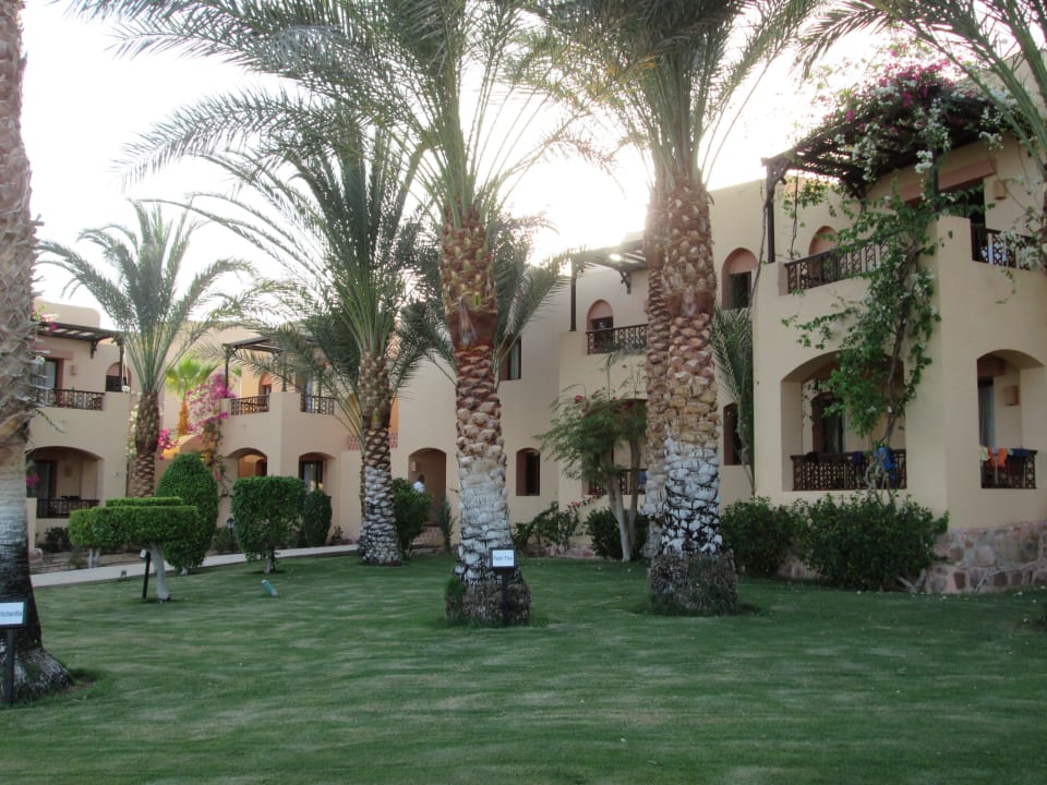 Blick zu den Zimmern Block 11 Steigenberger Coraya Beach - Adults only