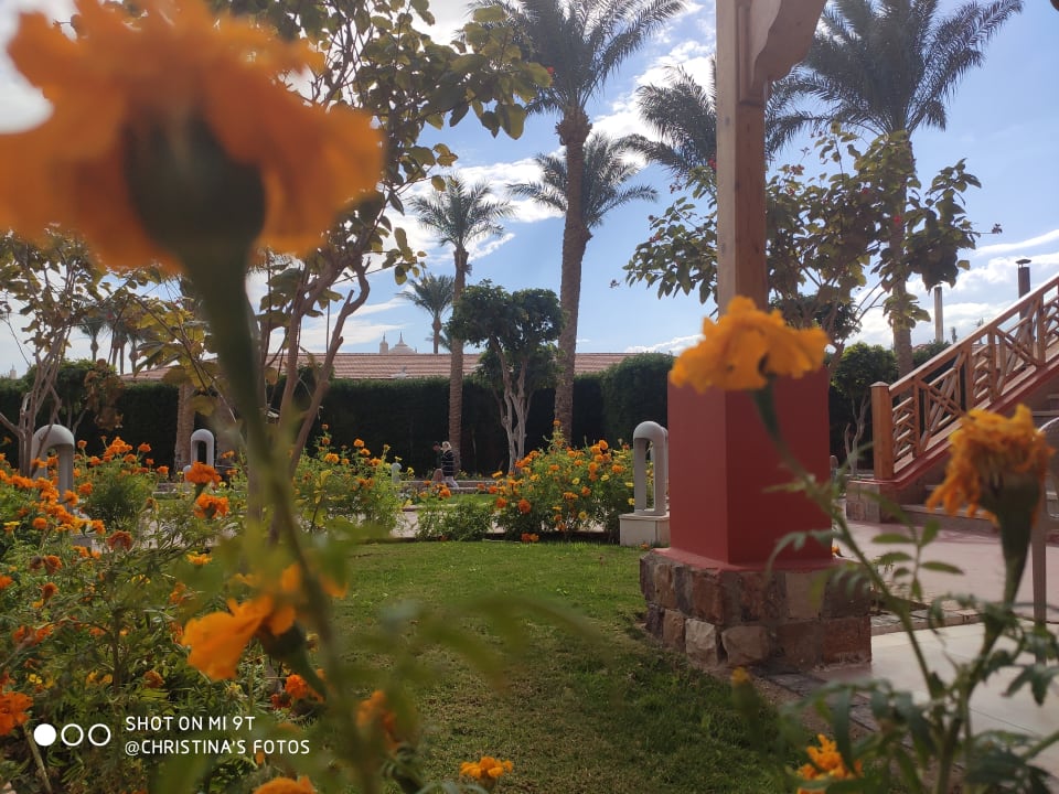 Ausblick Pickalbatros Alf Leila Wa Leila Resort - Neverland Hurghada
