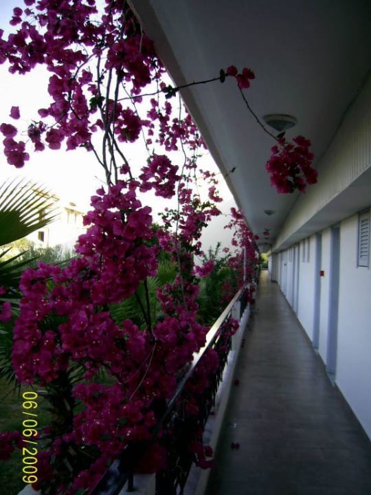 Zugang zu den Zimmern Hotel Hanioti Palace/Chanioti Palace