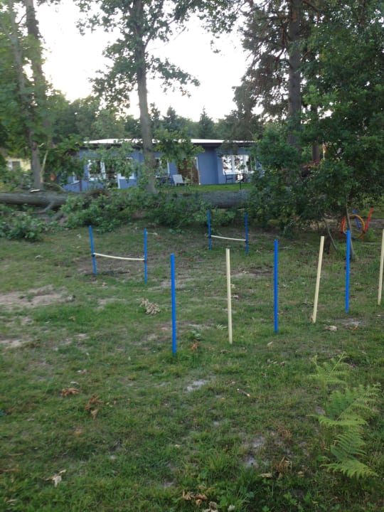 Amy's Wohlfühlvilla Amy's Wohlfühlvilla