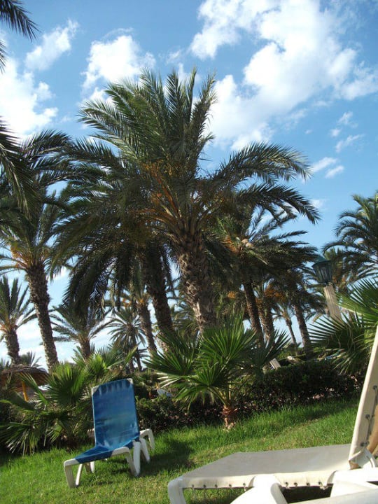 Garten Houda Golf & Beach Club