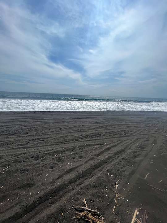 Strand Hotel Pez de Oro