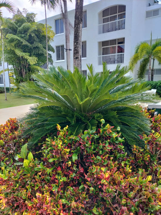 Gartenanlage Viva Heavens by Wyndham - All Inclusive Resort