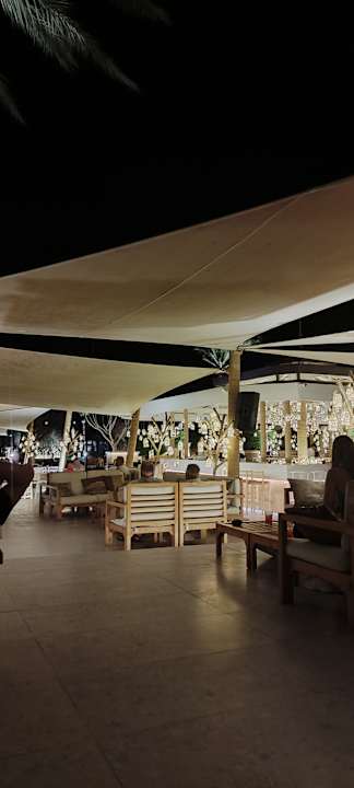 Sonstiges Desert Rose