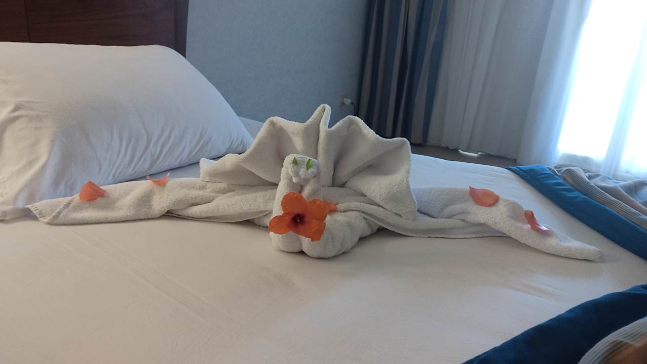 Zimmer Stella Garden Resort & Spa, Makadi Bay